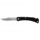 Buck 110 Folding Hunter